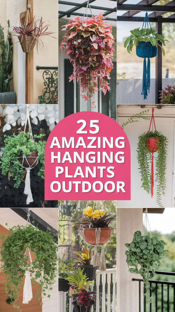 Collage of various outdoor hanging plants in different styles of pots, with a pink banner reading '25 Amazing Hanging Plants Outdoor' in the center.