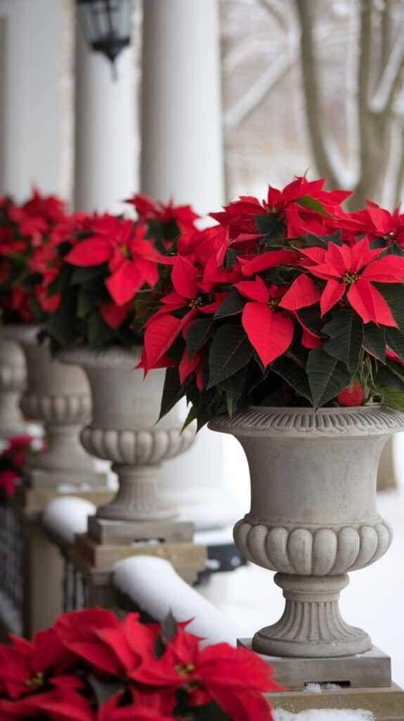 Red poinsettias in several stone planters on a snow-covered outdoor terrace.