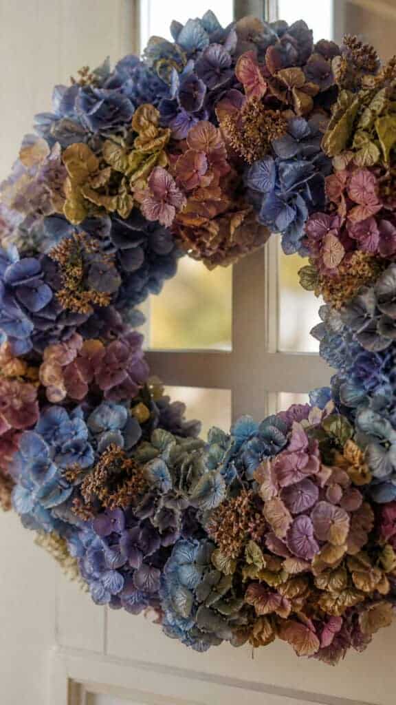 Hydrangea Heaven