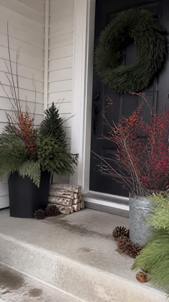 Embrace Natural Winter Elements