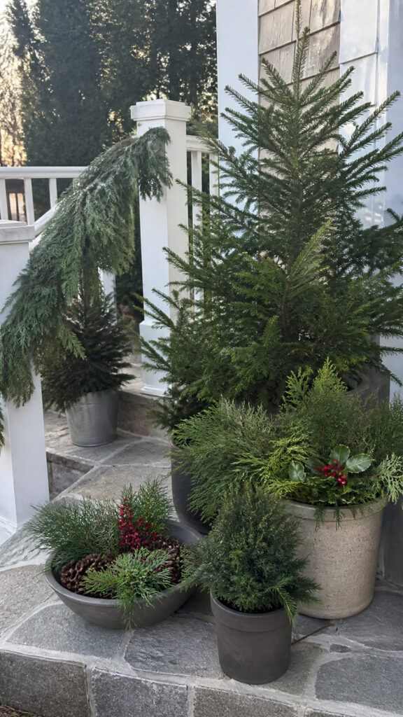 Incorporate Natural Elements and Greenery