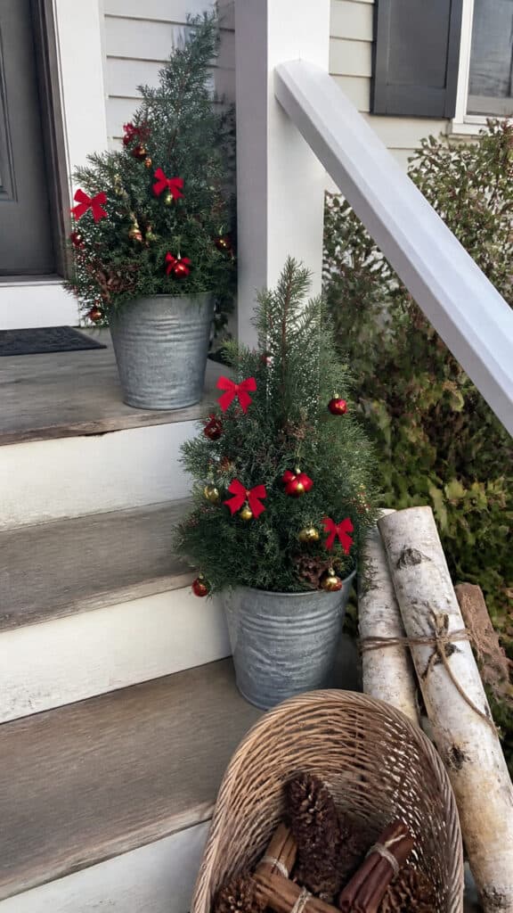 Potted Plants and Natural Elements