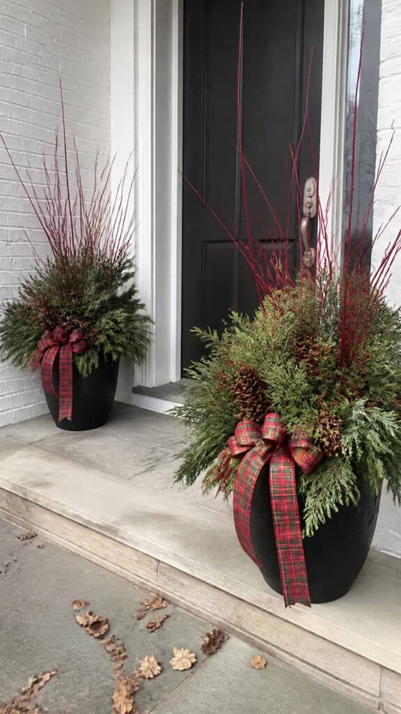 Style Your Planters for Instant Impact