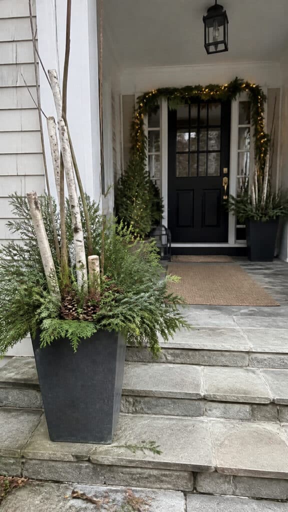 Embrace Natural Evergreen Elements