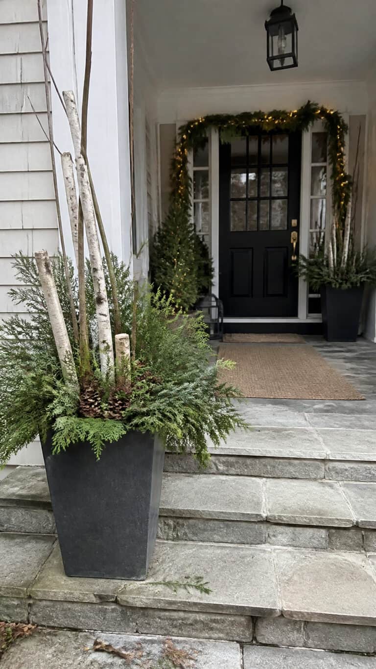 Embrace Natural Evergreen Elements