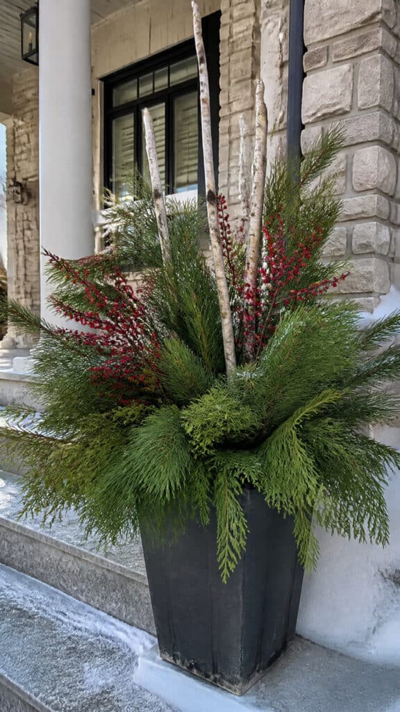 Evergreen and Berry Branch Elegance