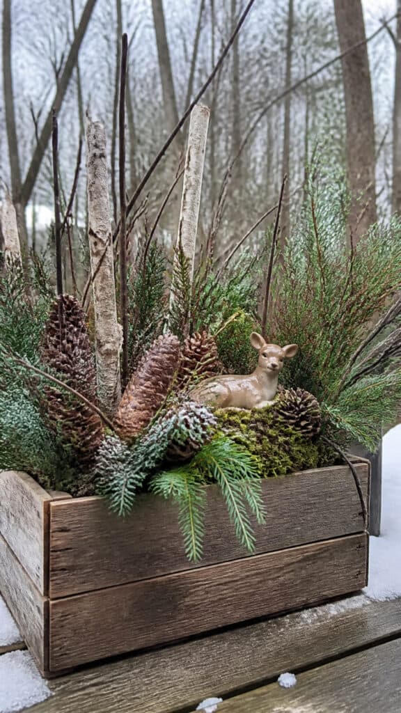 Woodland Wonderland with Natural Textures