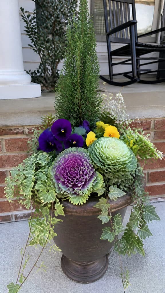 Creating the Perfect Winter Container Combination