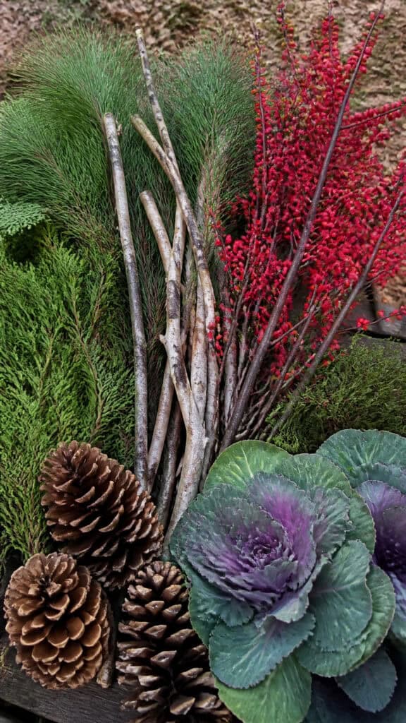 Best Plants and Greenery for Winter Porch Pots