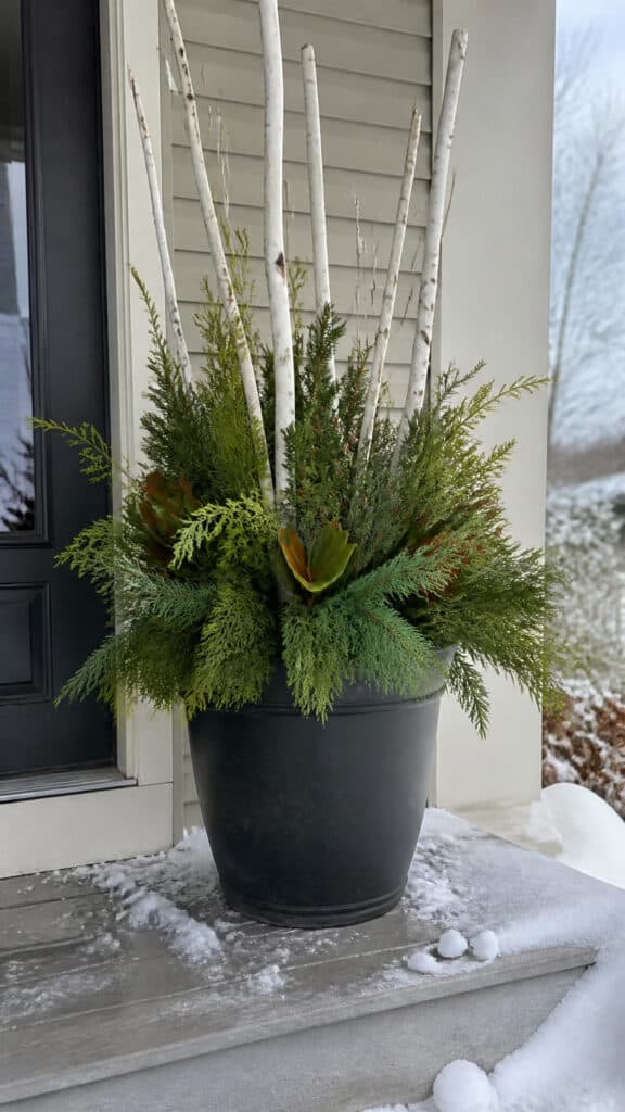 Classic Evergreen and Birch Branch Elegance