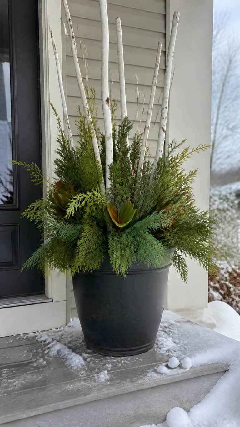Classic Evergreen and Birch Branch Elegance