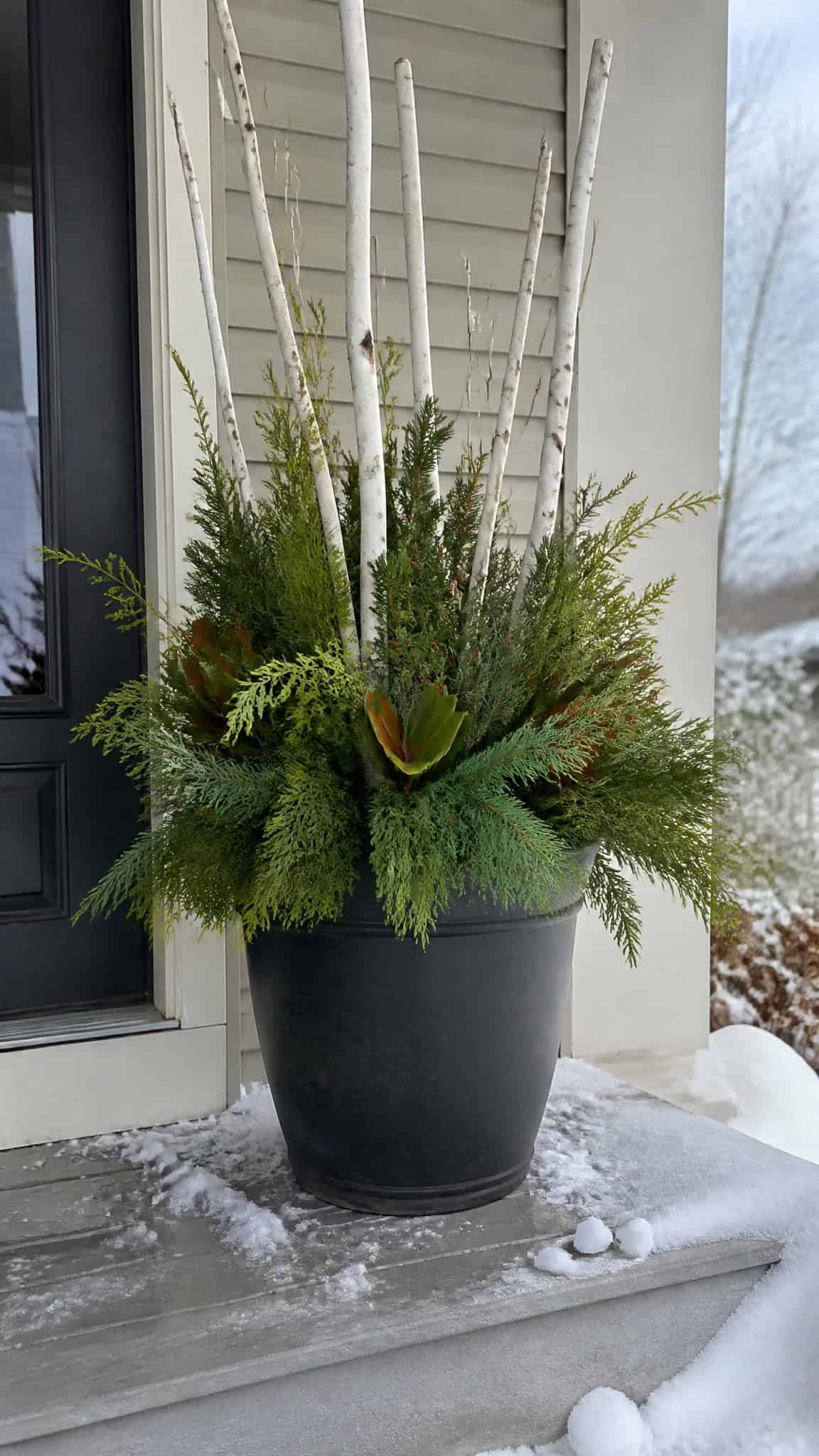 Classic Evergreen and Birch Branch Elegance