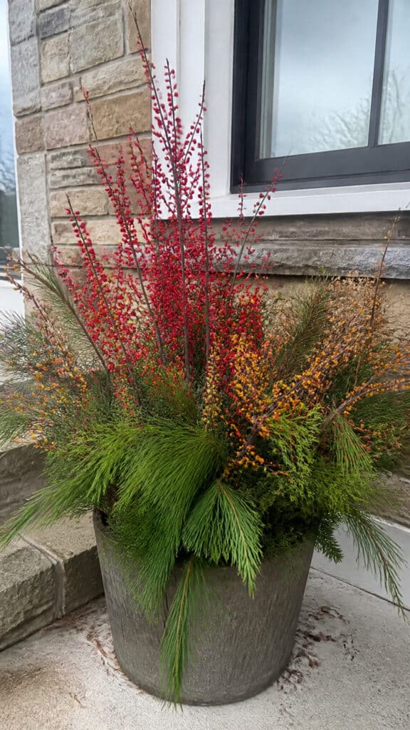 Berry Beautiful Winter Containers
