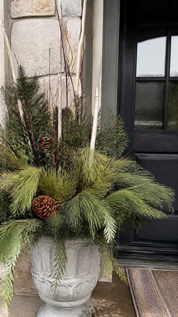 Classic Evergreen Elegance