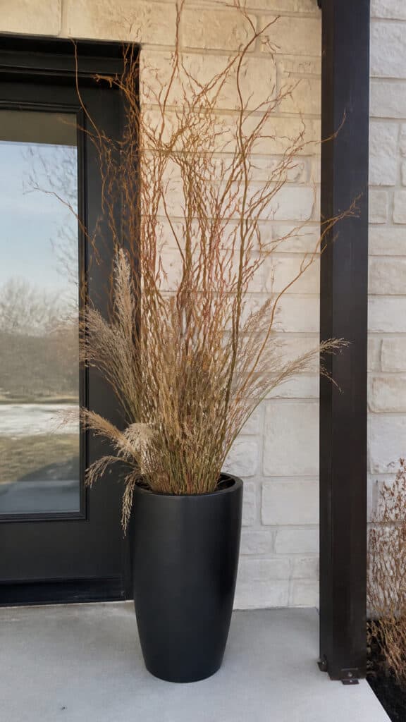 Natural Winter Branches and Grasses