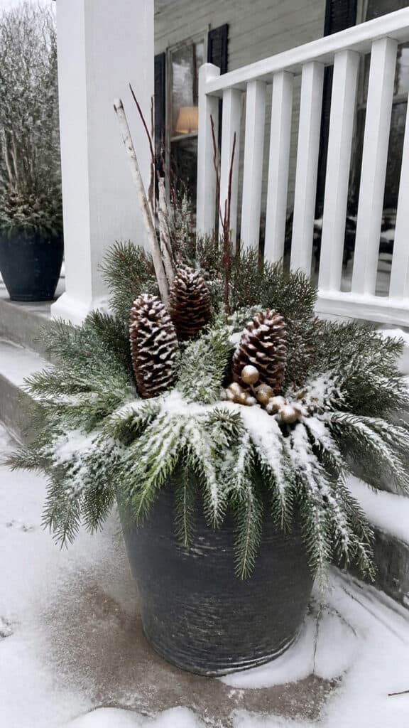 Maintaining Your Winter Porch Pots Throughout the Season